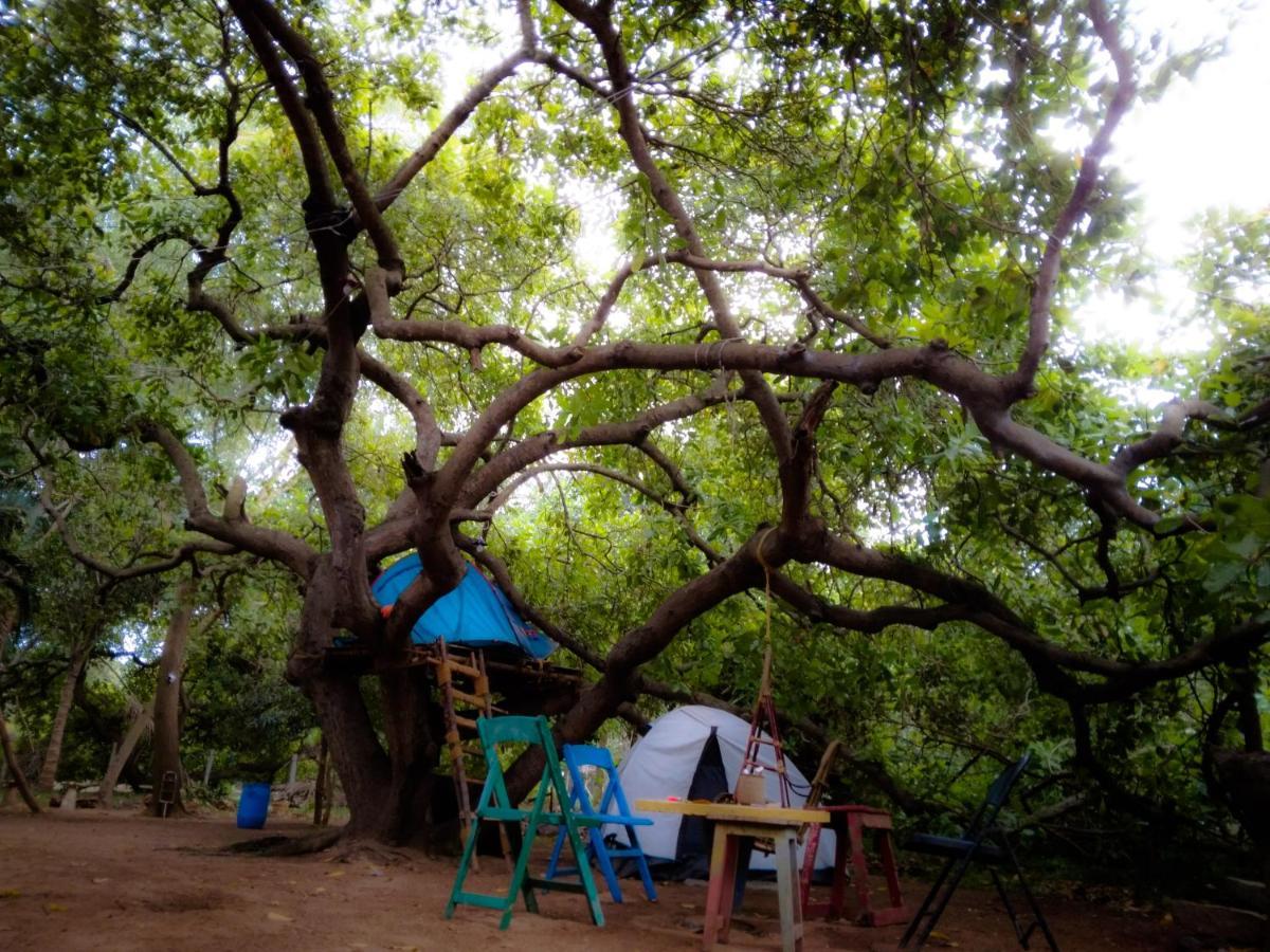 Peace Garden Ostello Auroville Esterno foto